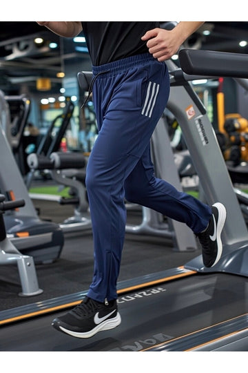 Navy Stripes Trouser